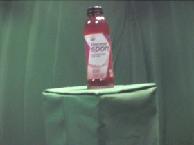 45 Degrees _ Picture 9 _ Honest Sport Organic Berry Bottle.png